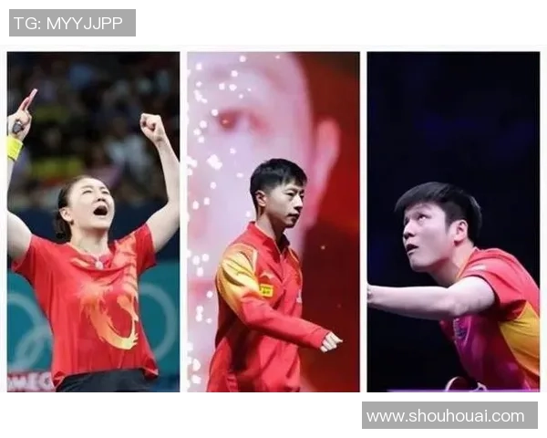 樊振东与马龙2017年巅峰对决回顾乒乓球历史上的经典时刻